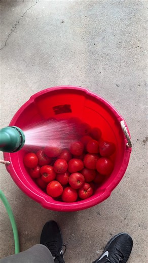 How to Can Italian Tomato Sauce at Home