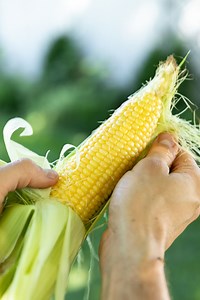 710K views · 3.7K reactions | PRINT the recipe:...