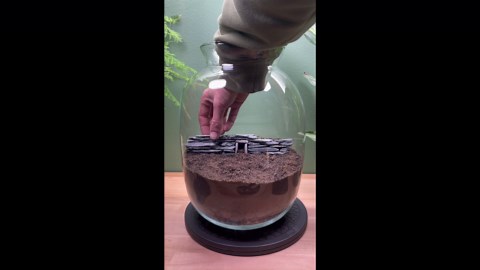 Building a cozy cave for a terrarium