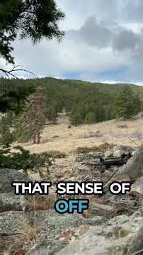 You Can't Fix Subconscious Programming By Talking About It - You Have to Access What's Running It 🧠