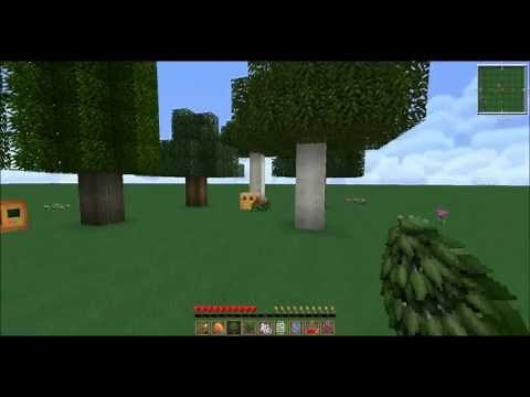 FTB - Forestry Tree Breeding Guide for Beginners