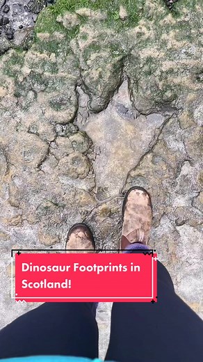 Dinosaur Footprints on Isle of Skye Beach in Scotland