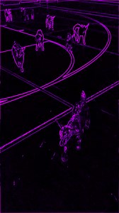 Disco Goats! Follow our page! #steinmetzfamilyfarm #GOAT #babygoats Steinmetz Family Farm | Steinmetz Family Farm