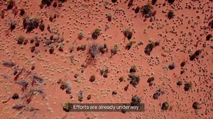 The Montreal Protocol stands as a triumph of global cooperation. | Ministry of Environment