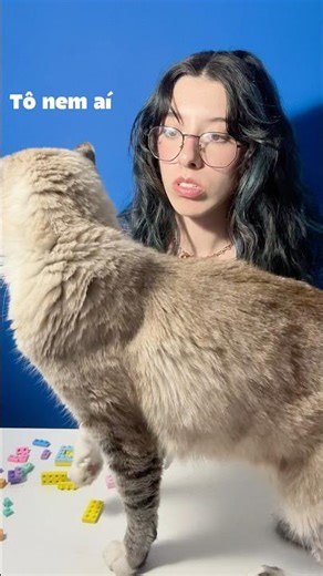 POV: You have a bipolar cat