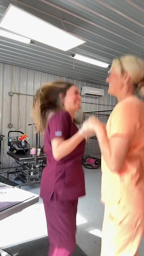 It’s the little stuff 🤣💓 | You Dirty Dog