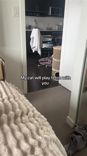 Boop (@boop6203)’s videos with original sound - Boop