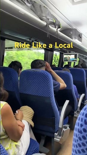 🇲🇽Cancun on a Budget: The Scenic ADO Bus Ride to Downtown! 🏖️🚌