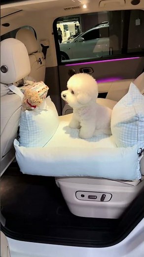 The Coziest Car Seat for Your Pet 🐶🚗 #pets #cat #cute #petsupplies #dog #doglife