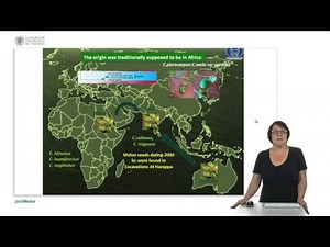 El origen del melon: diversidad genética de la especie | 51/95 | UPV