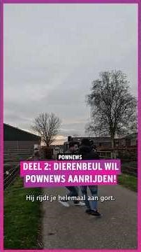 Verhaal halen bij dierenbeulen liep niet goed af… #pownews #powned #npo3