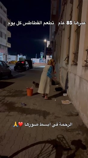 Ali Ksia on Instagram: "#nature#photography#travel#sousse#instagood#beautiful#mahdia#mehdia#sunset#djerba#tunis#sidibou#kairouan#klibia#like#summer#monastir#sun#hammamet#sfax#tunisie🇹🇳#tunisia🇹🇳#nabeul#visittunisia#gammarth#marsa#cartage#ariana#arabistan#sousse🇹🇳"