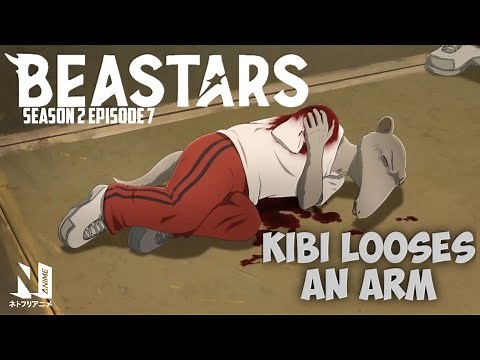 Kibi looses an arm | BEASTARS Season 2 Episode 7