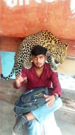 #Ai video #Veepee #