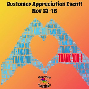 2.4K views · 32 reactions | Starts tomorrow! https://fearnottarantulas.com/collections/customer-appreciation-event-nov-13-15 | Fear Not Tarantulas, Inc | Facebook