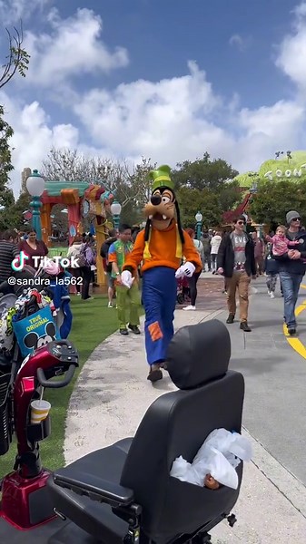 Toontown#Goofy
