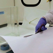 Video: Thin-layer Chromatographic TLC Separations and Bioassays of Plant Extracts to Identify Antimicrobial Compounds