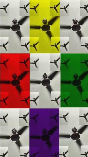 🔄 Most Unique Ceiling Fan Styles #ceilingfan #tranding