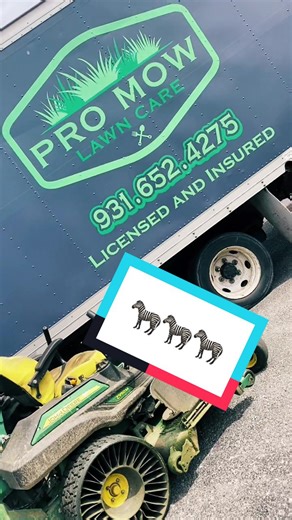 🦓’s everywhere #promowlawncare #stripeseason