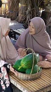 Memetik pepaya muda di saung kami #berkebun #panen #hidupdidesa