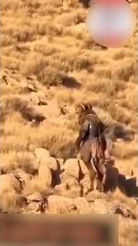 Mysterious Goatman-Like Creature Caught on Camera
