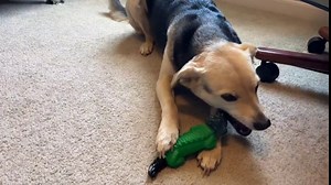 Dog Toys for Large Dogs/Medium Dogs/Tough Dog Toys/Dog Chew Toys for Aggressive Chewers/Durable Dog Toys/Indestructible Dog Toys/Alligator Tough Dog Toys for Nylon and Natural Rubber - Milk Flavor