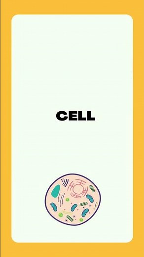 The Fundamental Unit of Life | NCERT class 9 chapter 5 Quick Summary part 1