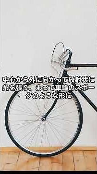 クモの巣はどう作られる？知られざる“設計図”の秘密#クモ #雑学 #自然の建築家 #雑学#虫雑学