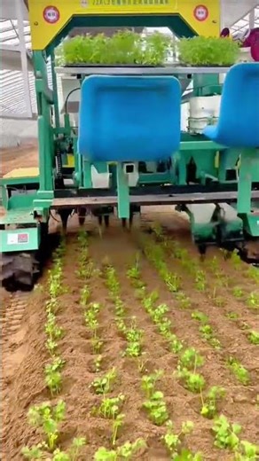 Planting Vegetable Seedlings Efficiently Using an Automatic Greenhouse Transplanter Machine