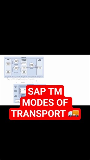 🚚 SAP S/4HANA TM | Modes of Transport You MUST Know! 🚢✈️