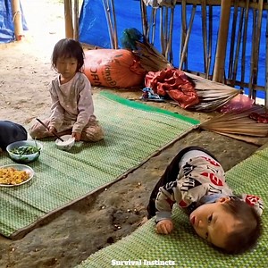 1.1M views · 10K reactions | Harvesting Pumpkins to Sell and Cook a Delicious Meal #PumpkinHarvest #FamilyFarming #FreshFromTheFarm #CountryLife #HomecookedMeals | Survival Instincts | Facebook