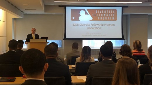 Diversity Fellowship Program