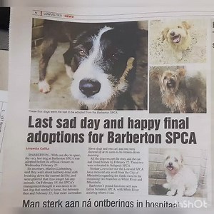 4K views · 262 reactions | Barberton SPCA With sad broken hearts we...