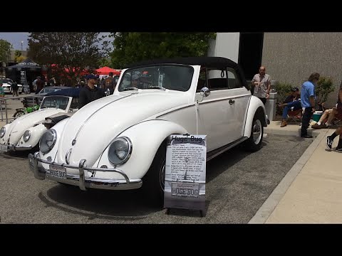 Giant VW Bug