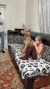#dog #doglover #smartdog | Vanna Viboth