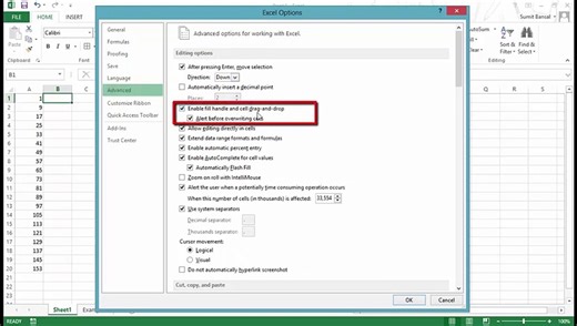 Advance Excel Lesson 7 - Auto-fill, Custom Lists, and Flash Fill