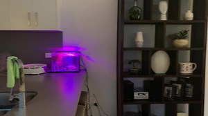 10K views · 699 reactions |  DOODLE BUG  It’s 6:30 in the morning & all is quiet with the world. Doodle Bug has had a calm, peaceful & safe first night at Palace PFT.  | "Paws for Thought" Rescue | Facebook