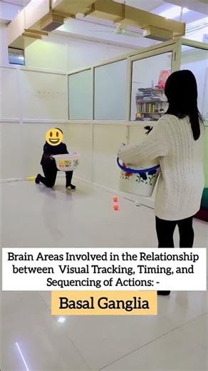 Brain-Body Connection: Visual Tracking & Sequencing OT Challenge