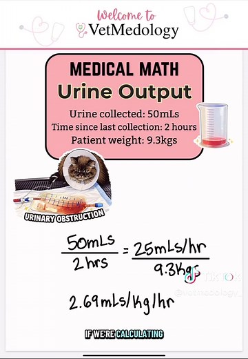 🐱 Urinary Obstruction Nursing Care: Ins & Outs Matter Monitoring urine output and fluid balance in obstructed cats is critical to preventing life-threatening complications. In this video I break down: 💧 How to track Ins & Outs 📊 How often to measure urine output 📈 What positive vs negative fluid balance means 🚨 How to manage post-obstructive diuresis safely. Post-obstructive cats can become hypovolemic FAST if fluids don’t match output — and at some point, you may actually be driving the di