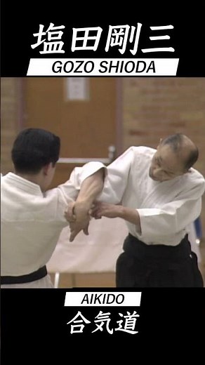 合気道 塩田剛三 セミナー vol.1 AIKIDO GOZO SHIODA Seminar 達人の技 #shorts