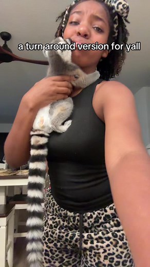 Exploring the World of Pet Lemurs: A Turnaround Guide