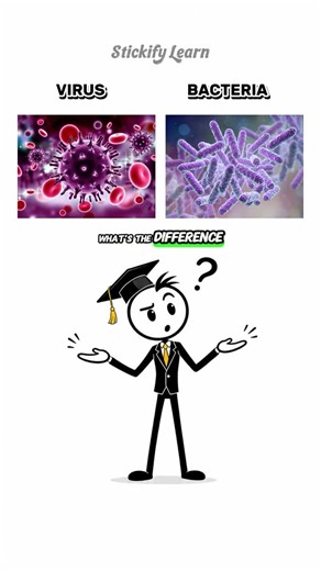 What's really the difference between VIRUS and BACTERIA?