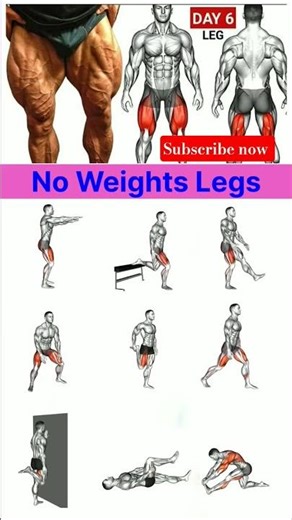 legs exercise at home 🏡 No weight legs 💪 #everydayfitness #homeworkout #trendingshorts #legsday