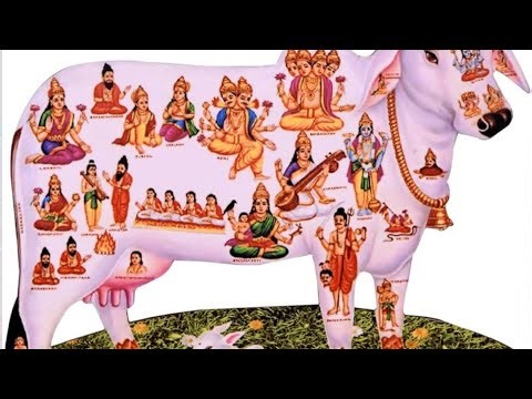 Gou matha YogaFlow@sayeesmiles