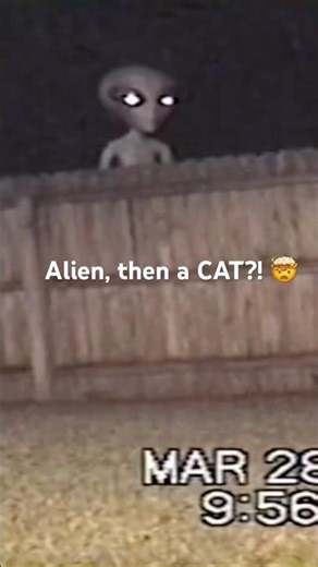 Alien, then a CAT?! 🤯 The most unexpected neighbor ever! #alien #cat #spooky #shorts #shortsviral