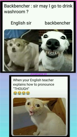 Me at my english class #funny #memes#viral#yt#comedy