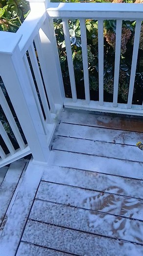 Pressure washing a Trex deck with no #foamcannon #pressurewashing #trexdecking #diy chemicals just soap | Pete Griffin