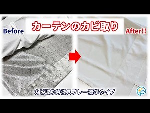 カーテンのカビ取り方法！取れない頑固な黒カビをカビ取り侍液スプレー標準タイプで強力に除去・消臭した使い方を公開／クーポン情報は概要欄／プロのカビ取り業者純閃堂