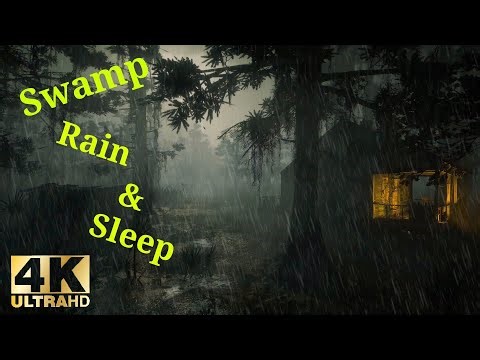 Swamp ASMR Therapy 🌿💤 Rain on Moss Roof Viral Rain & Thunder Sounds for Deep Sleep 10 Hour ASMR