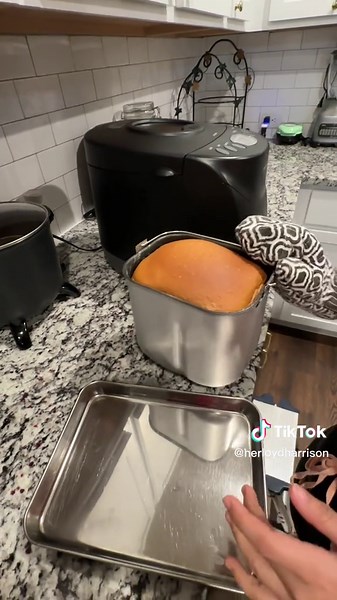 First Time Making Bread with Hamilton Beach Bread Maker Machine